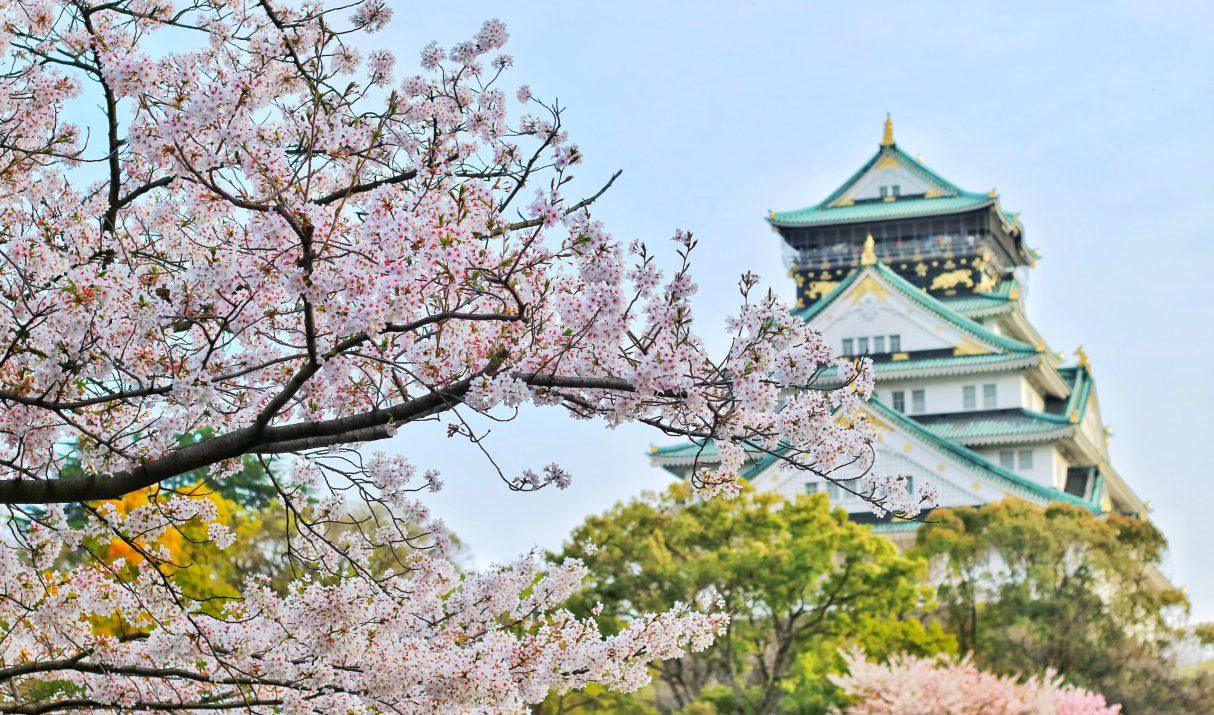 Een Japanse tuin
