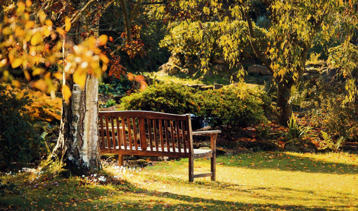 4 verschillende tuinstijlen uitgelicht
