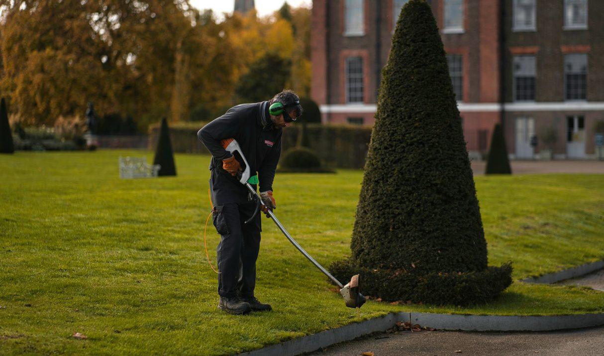 Hovenier gezocht? Zo kies je de juiste expert voor je tuinproject