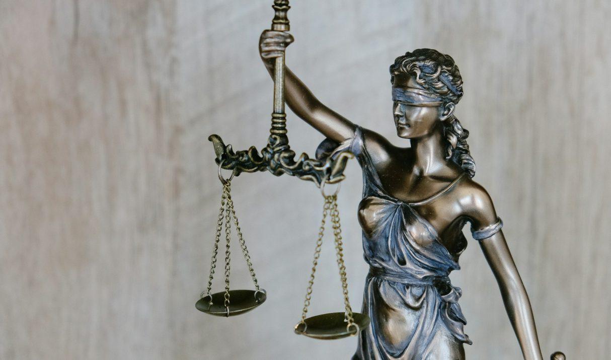 De waarde van een specialist in recht