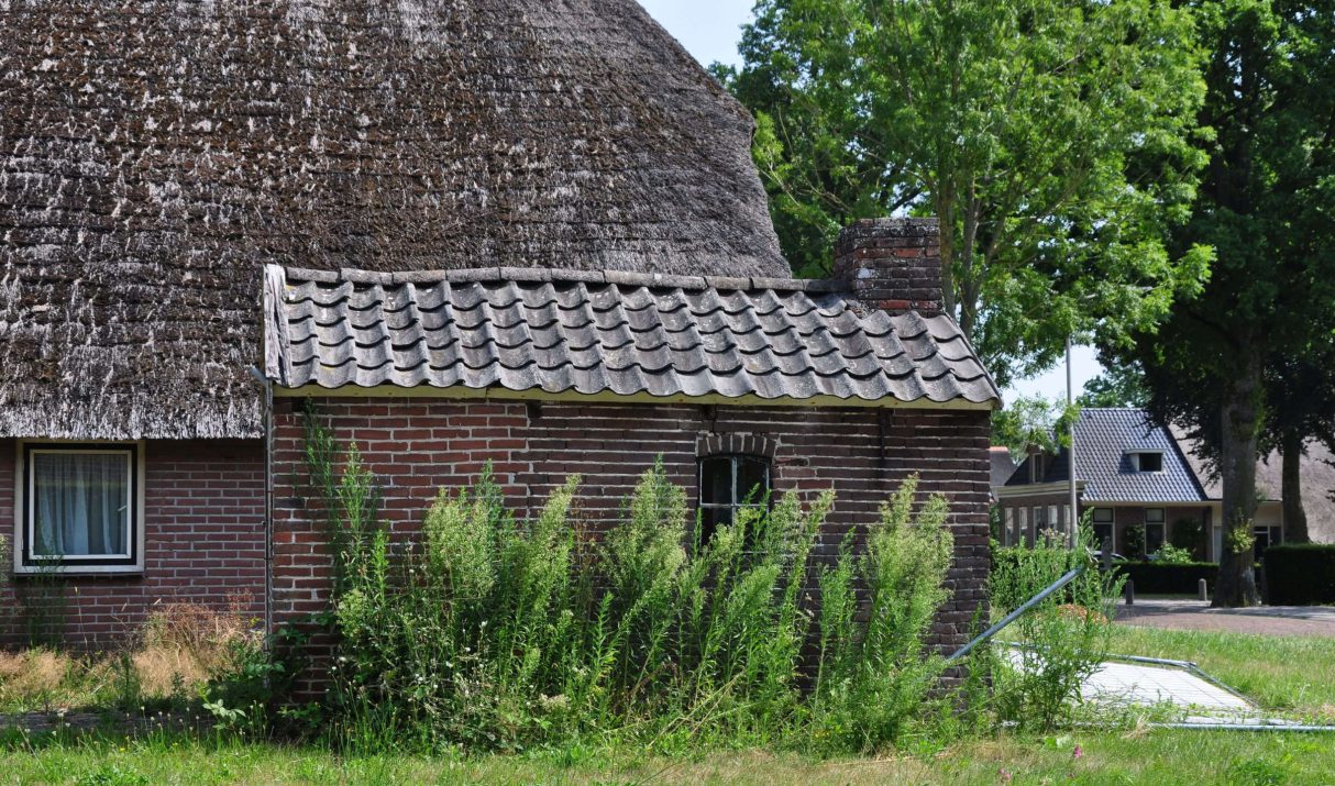 Zo blijft uw dak het hele jaar door in goede staat